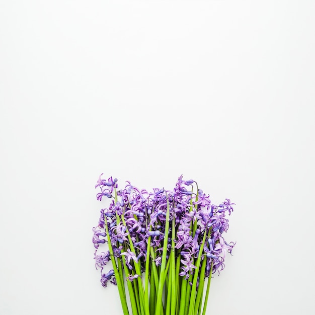 Bouquet de fleurs