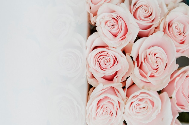 Photo gratuite bouquet de fond de roses rose clair