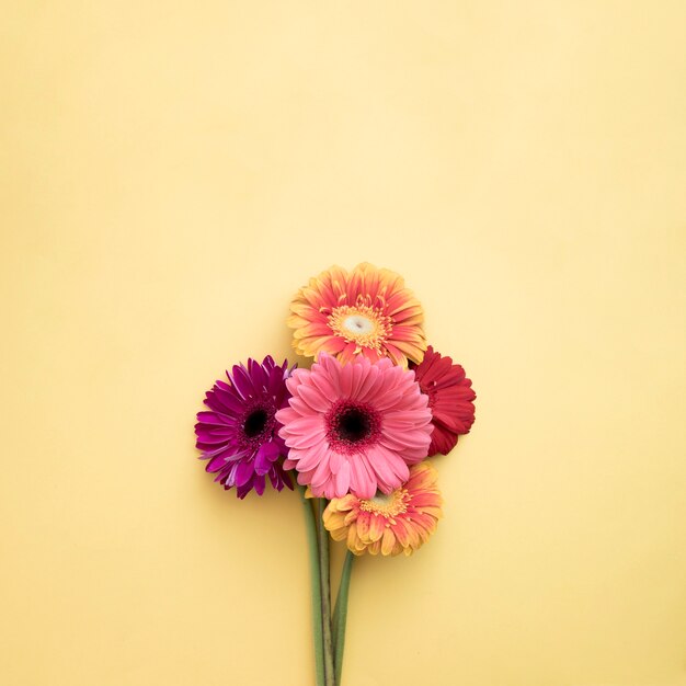 Bouquet de gerberas