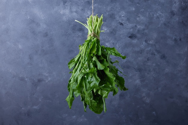 Un bouquet d'herbes pendu au bleu