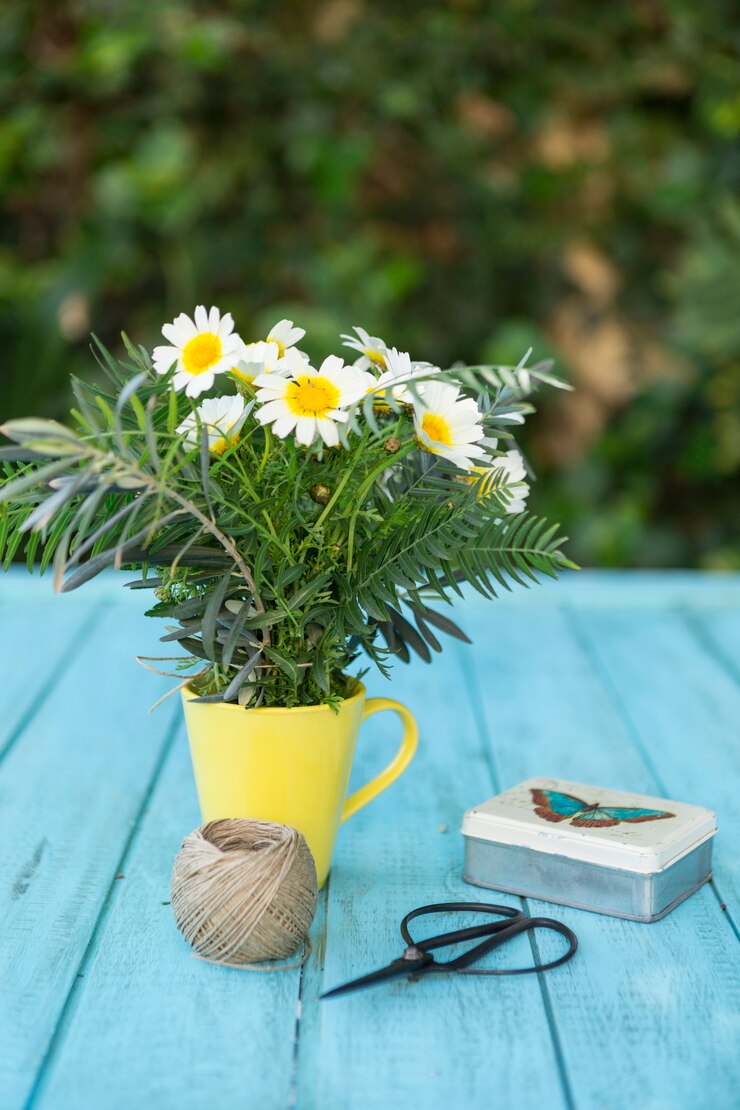 Photo gratuit bouquet de marguerites à côté d&#39;une boîte et des ciseaux
