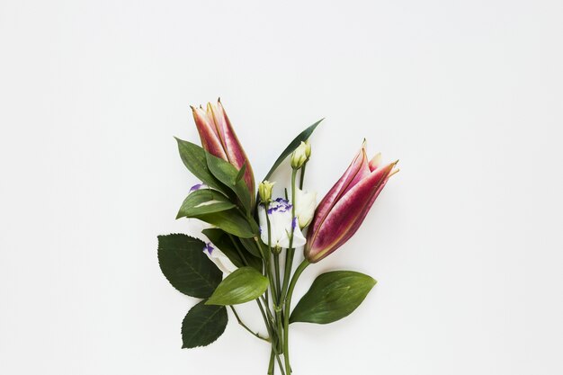 Bouquet minimaliste d'élégants lys royaux