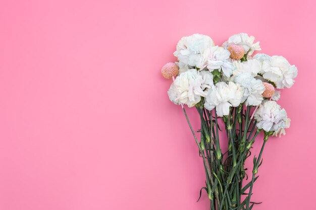 Bouquet d'oeillets blancs sur fond rose isolé mise à plat