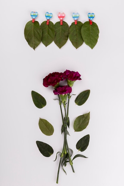Photo gratuite bouquet d'oeillets près de feuilles sur des épingles