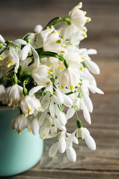 Bouquet de perce-neige sur un arrière-plan flou