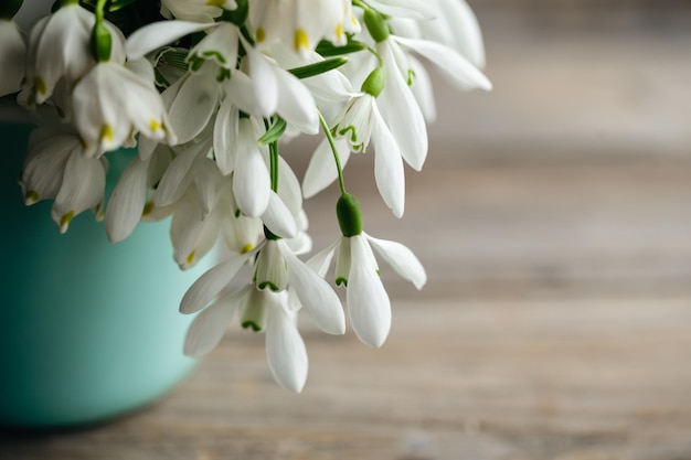 Photo gratuite bouquet de perce-neige sur un arrière-plan flou