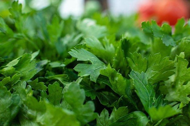 Bouquet de persil aux herbes en gros plan.