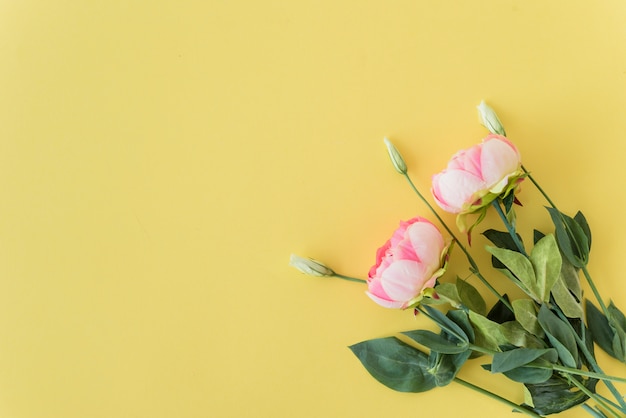 Bouquet de pivoines roses