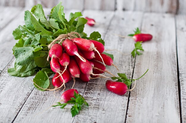 Bouquet de radis frais