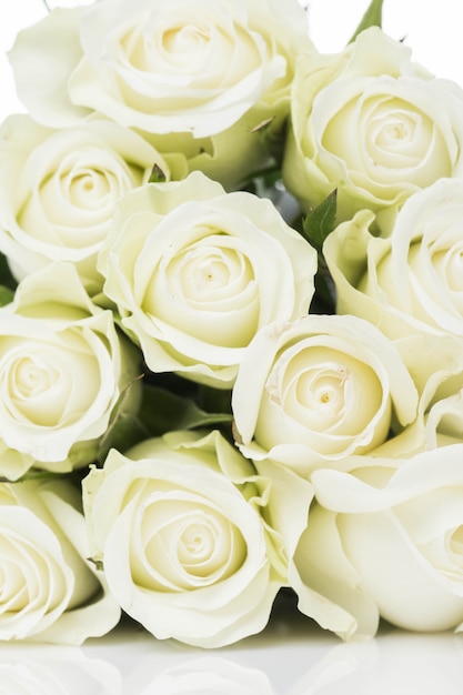 Bouquet de roses blanches