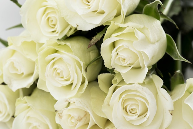 Bouquet de roses blanches