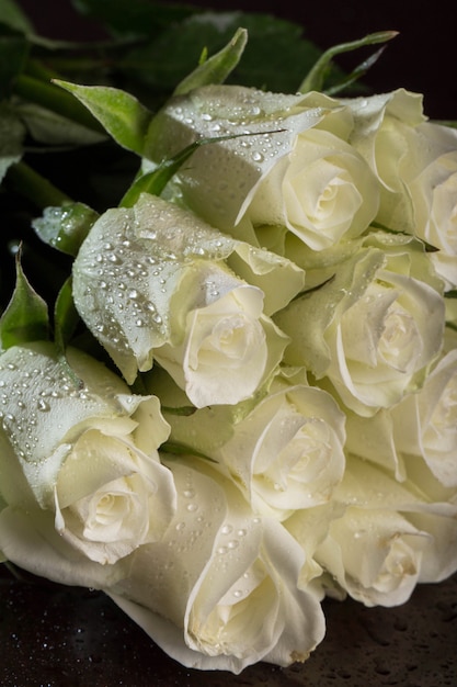 Photo gratuite bouquet de roses blanches