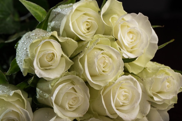 Photo gratuite bouquet de roses blanches