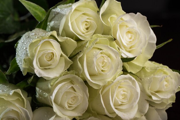 Bouquet de roses blanches