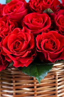 Bouquet de roses rouges dans le panier se bouchent