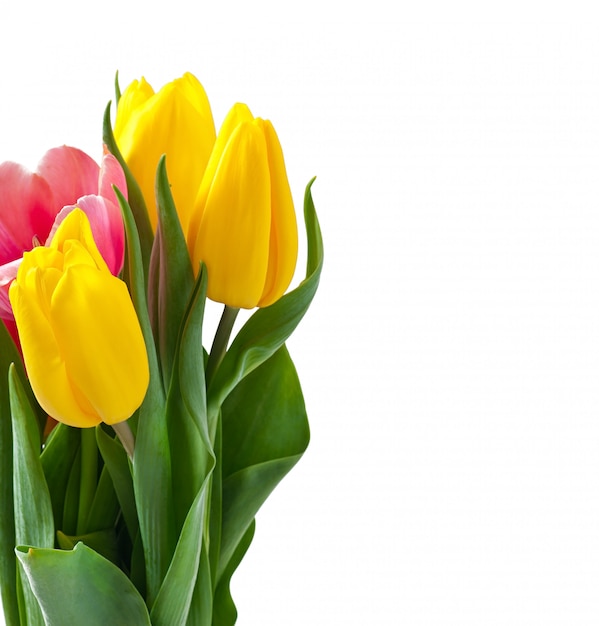 Photo gratuite bouquet de tulipes sur blanc