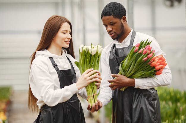 Bouquet de tulipes chez un mec. Guy et fille dans une serre. Jardiniers en tabliers.