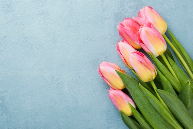 Bouquet de tulipes copie espace