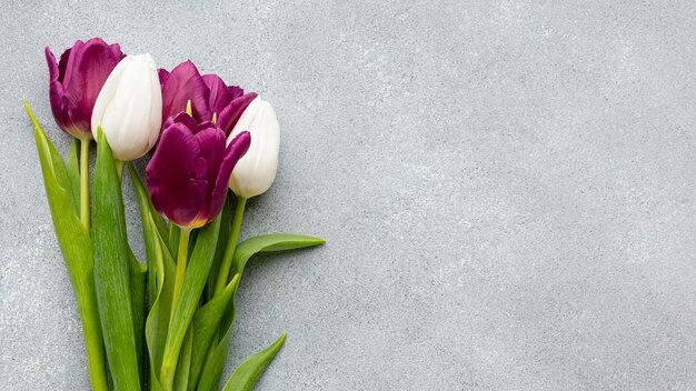 Bouquet de tulipes avec espace copie