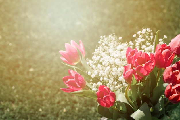 Photo gratuite bouquet de tulipes extérieur