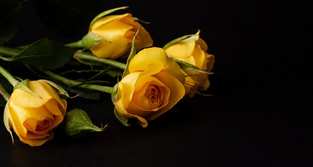 Bouquet de tulipes en fleurs à angle élevé