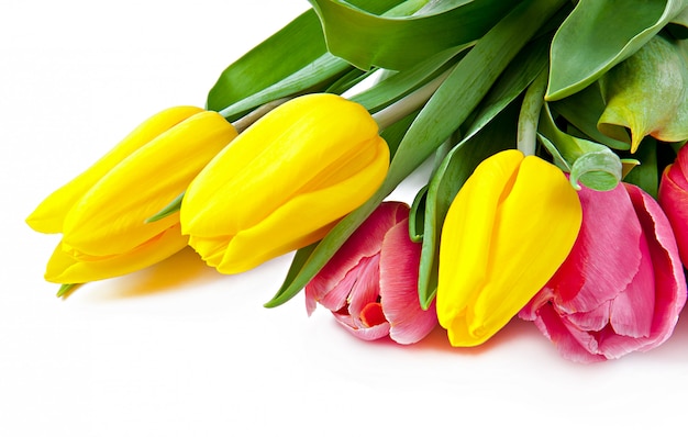 Bouquet de tulipes