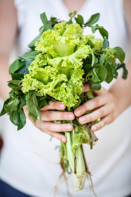 Bouquet de vert dans les mains des femmes