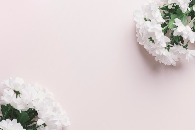 Bouquets de marguerites blanches