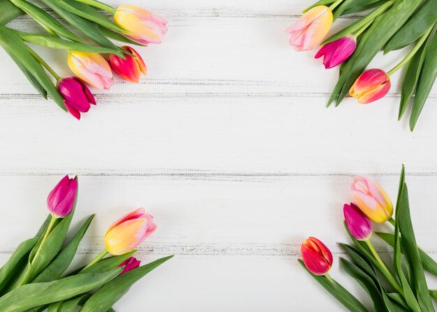 Bouquets de tulipes sur les bords