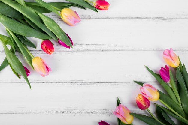 Bouquets de tulipes