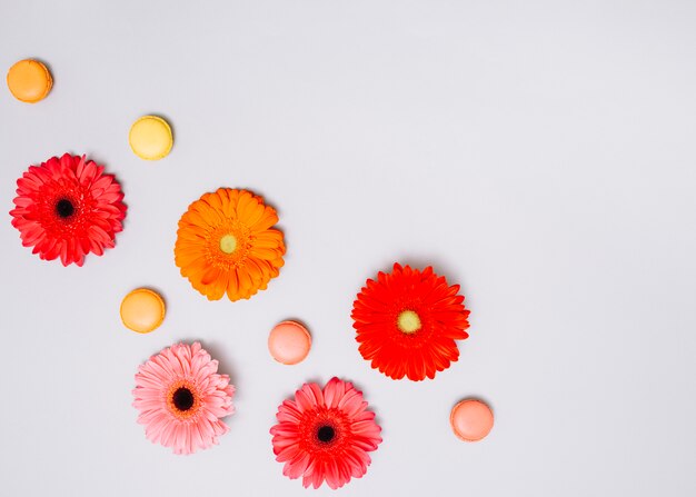 Boutons de fleurs avec des biscuits sur la table