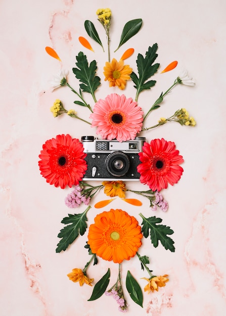 Boutons de fleurs avec caméra sur une table en marbre