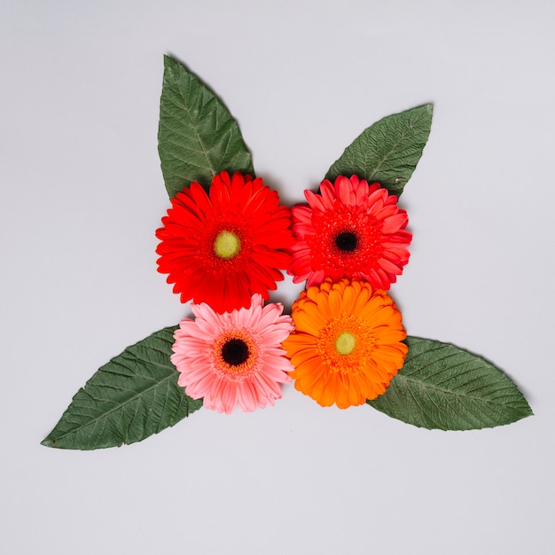 Photo gratuite boutons de fleurs colorées avec des feuilles sur un tableau blanc