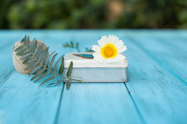 Box avec des plantes et de la corde sur la surface bleue