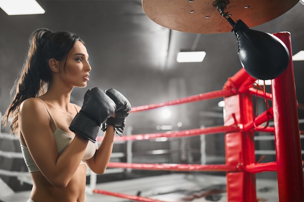 Boxer femelle frappant un petit sac de boxe.