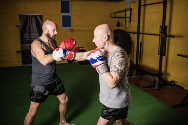 Boxeurs pratiquant la boxe dans le studio de fitness