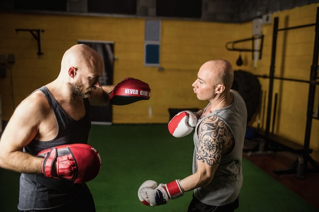 Boxeurs pratiquant la boxe dans le studio de fitness