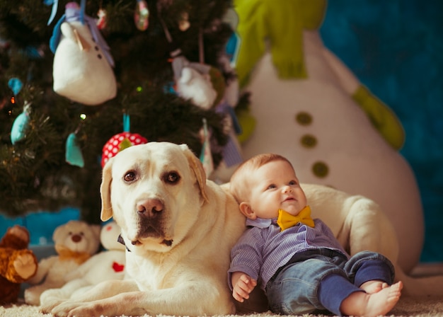 &quot;Boy toddler penché sur un chien blanc&quot;