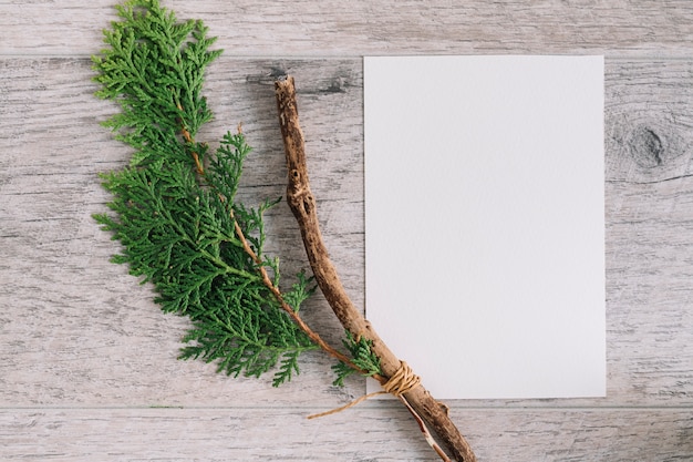 Branche de cèdre avec du papier blanc vierge sur fond texturé en bois