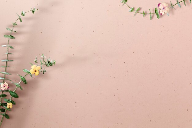 Branche de fleur d'eucalyptus avec ombre sur béton beige