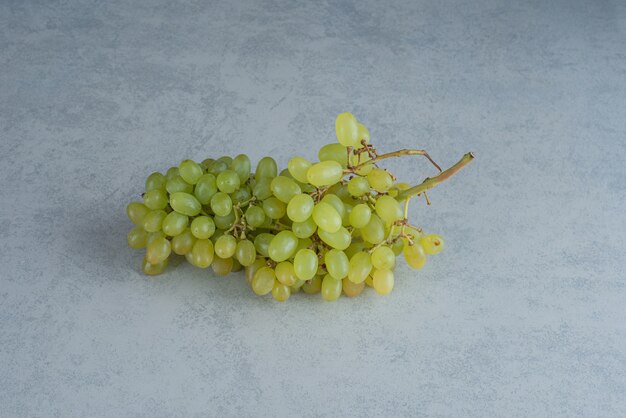 Une branche fraîche de raisin sur fond sombre. Photo de haute qualité