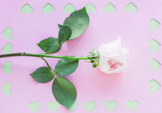 Branche de rose blanche avec des coeurs coupés sur papier