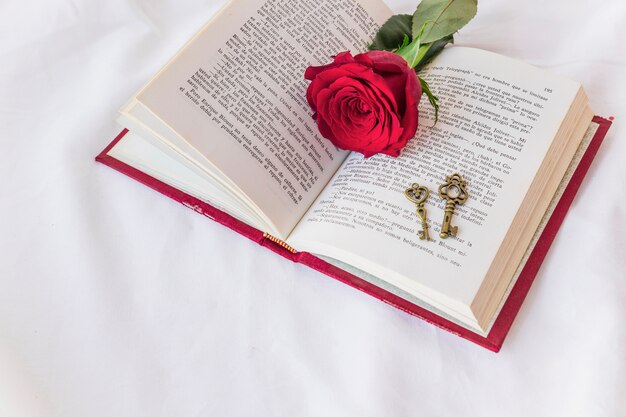 Branche de rose rouge avec des clés sur le livre