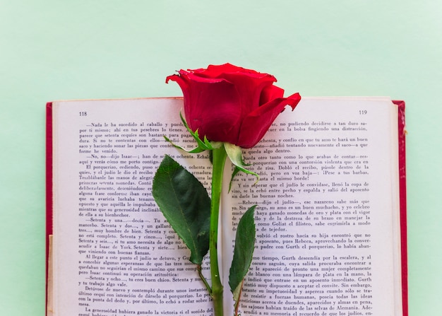 Branche de rose rouge sur un gros livre