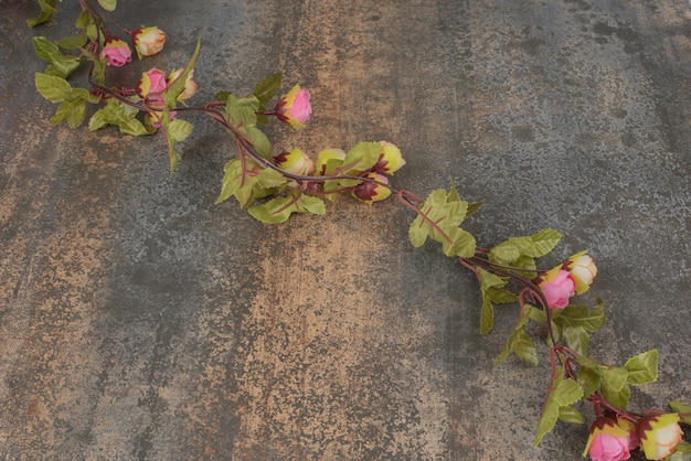 Branche de roses rouges sur une surface en marbre.