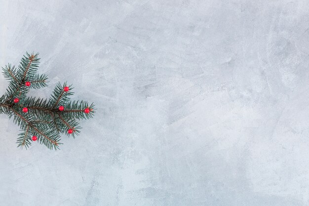 Branche de sapin avec baies sur table