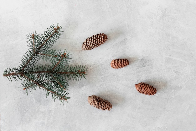 Branche de sapin avec des cônes sur la table