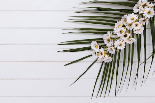 Branche verte avec une brindille floral sur blanc