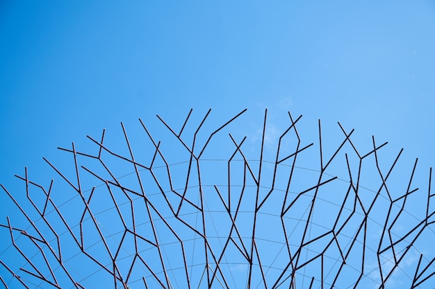 Photo gratuite branches d'un arbre avec fond de ciel