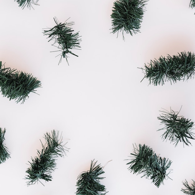 Branches d&#39;arbres de Noël sur table